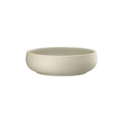 Multi-Bowl 21 cm